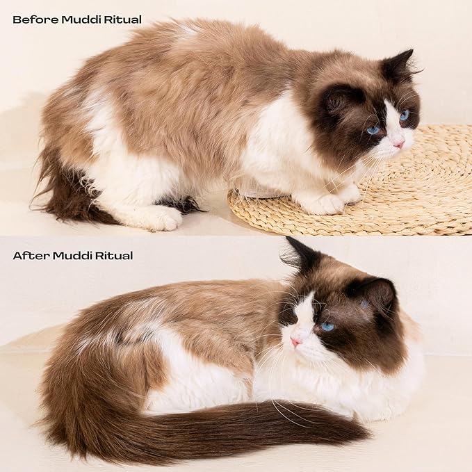 Cat Concentrated Waterless Rinse-Free Shampoo & Conditioner – DIY Dry Shampoo Spray or Towel Cleanse for Cats - Sensitive Skin, Stress & Itch Relief – 98.65% Naturally Derived - 8x10ml