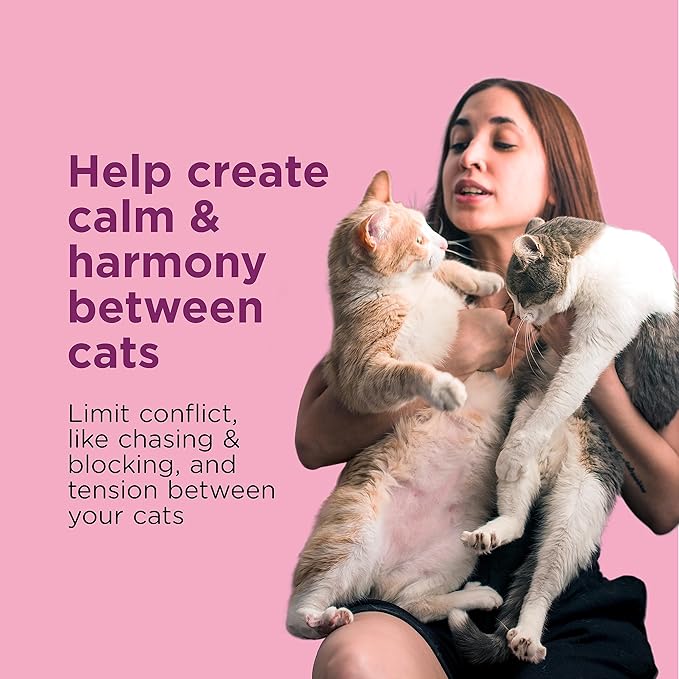 Comfort Zone Cat Multi-Cat Diffuser: Trial Kit (1 Diffuser & 1 Refill) (Pack of 2)