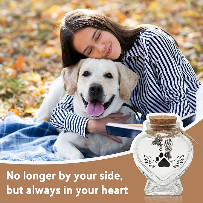 Pet Memorial Gift for Loss of Dog, Heart Shape Glass Jar & Bottle for Fur, Hair, Whiskers or Ashes Keepsake Urn with Cork Top, Charms for Cute Rainbow Bridge Memorial, Silver