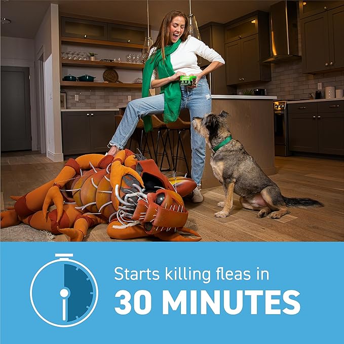 Capstar (Nitenpyram) Fast-Acting Oral Flea Treatment for Dogs 2-25 Lbs, Vet-Recommended Medication Tablets, Flea Tablets for Dogs Start Killing in 30 Minutes, 6 Doses