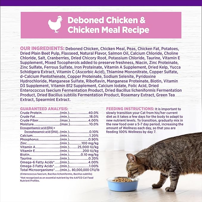 Wellness Complete Health Kitten Dry Cat Food for Indoor and Outdoor Cats, Grain Free, Natural, Chicken & Chicken Meal (5.5 Pound Bag)