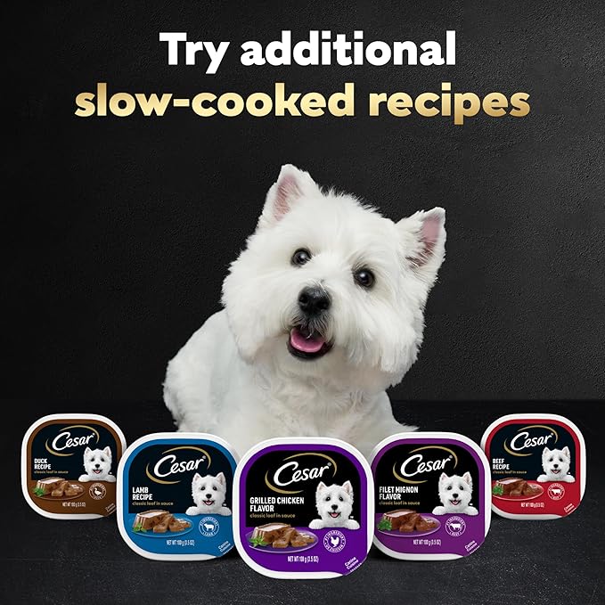 Cesar Classic Loaf in Sauce Adult Wet Dog Food Top Sirloin Flavor, Wet Food for Dogs, 3.5 oz Easy Peel Trays, 24 Count