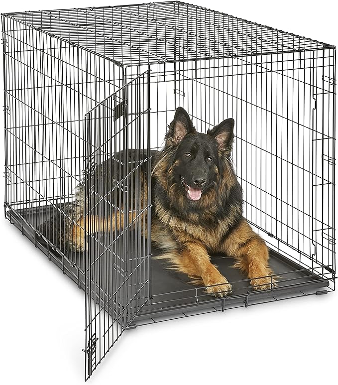MidWest Homes for Pets 48-Inch iCrate for Extra-Large Breeds, 90-110 lbs, Single Door Folding Dog Crate with Divider Panel, Leak-Proof Tray & Secure Latches, Portable, Durable & Easy to Assemble