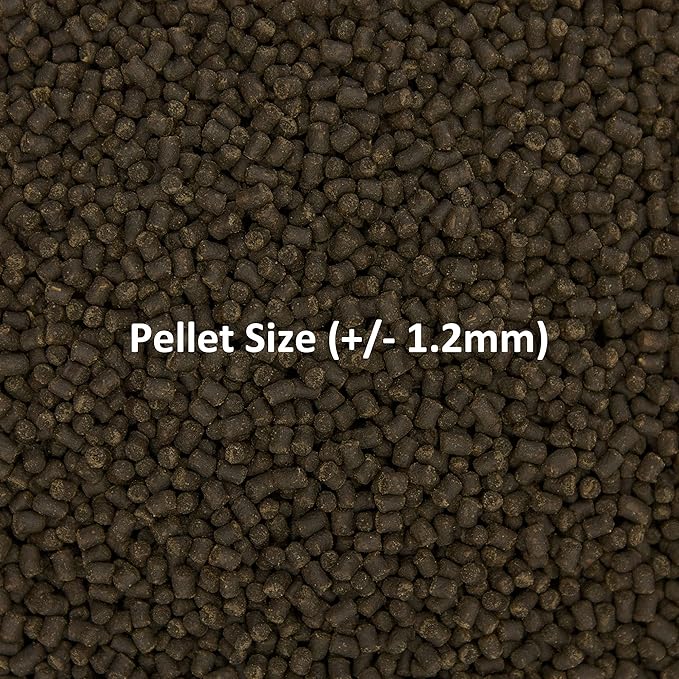 Ocean Nutrition Formula Two Pellets - Fish Food for Herbivorous & Omnivorous Marine Tropical Fish, High Protein(40%) - 7 oz (200 g) Small Pellets