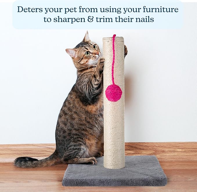 17-Inch Cat Scratching Post - Sisal Rope and Carpet Scratching Pole with Bright Pink Hanging Ball Toy for Adult Cats and Kittens by PETMAKER (Gray)