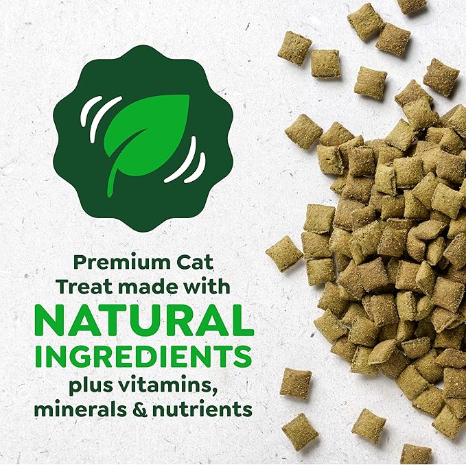 Greenies Cat Treats, Feline Smartbites, Skin & Fur Health, Crunchy and Soft Cat Treats, Salmon Flavor, 16 oz. Tub