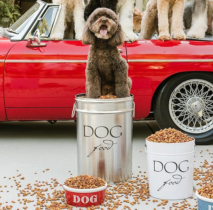 Harry Barker Classic Silver Dog Food Storage Canister – Medium, Airtight Stainless Steel Pet Food Container, Holds Up to 22 lbs Dry Dog Food, Kitchen Counter & Pantry Storage - Silver