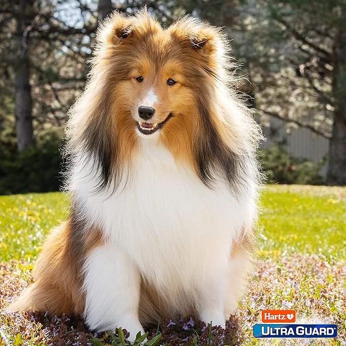 Hartz UltraGuard Dual Action Flea & Tick Topical Dogs & Puppies Treatment & Prevention, 6 Months, 15-30 lbs