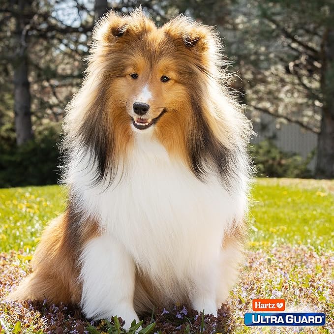 Hartz UltraGuard Pro Flea & Tick Topical Dogs & Puppies Treatment & Prevention, 3 Months, 61 - 150 lbs