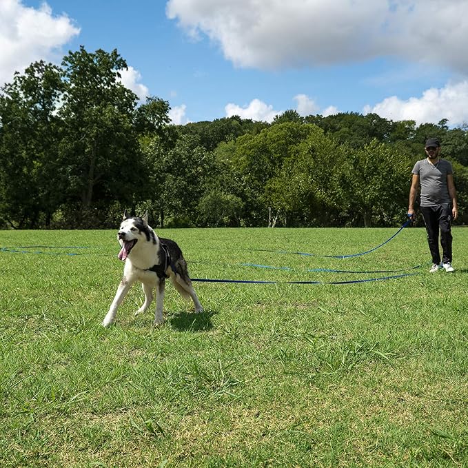 Hi Kiss Dog/Puppy Obedience Recall Training Agility Lead - 15ft 20ft 30ft 50ft 100ft Training Leash - Great for Training, Play, Camping, or Backyard (15 Feet, Red)