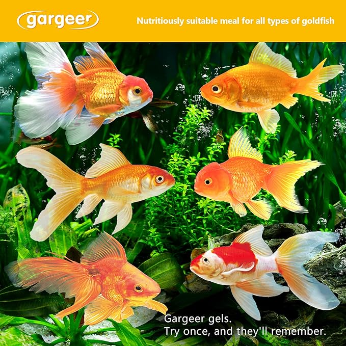 3oz Goldfish Food for Advanced Breeders Only. Complete Goldfish Gel Diet for Both Juveniles & Adults. Proudly Made in The USA Using Premium Ingredients, Nutrition Gourmet Formula. Enjoy !