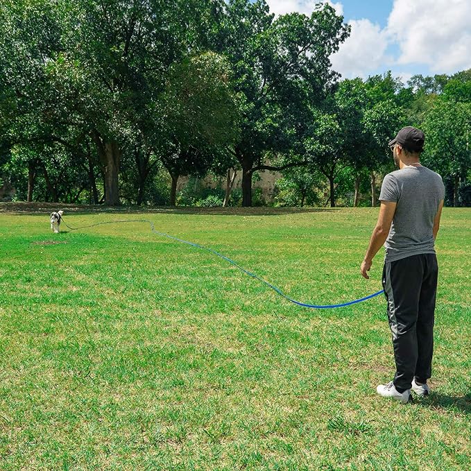 Hi Kiss Dog/Puppy Obedience Recall Training Agility Lead - 15ft 20ft 30ft 50ft 100ft Training Leash - Great for Training, Play, Camping, or Backyard - Pink 100ft