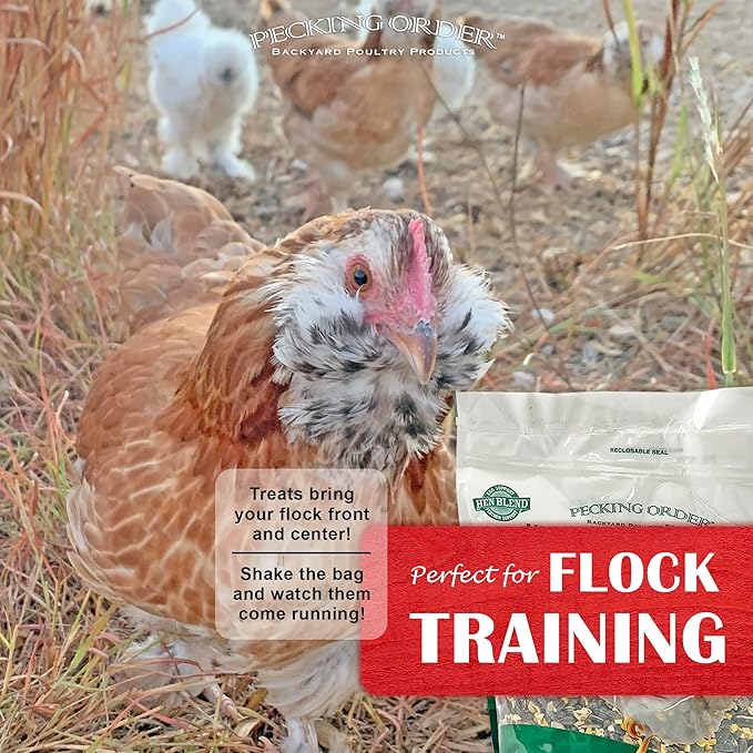Pecking Order 9328 Mealworm & Sunflower Treat, 3 lb.