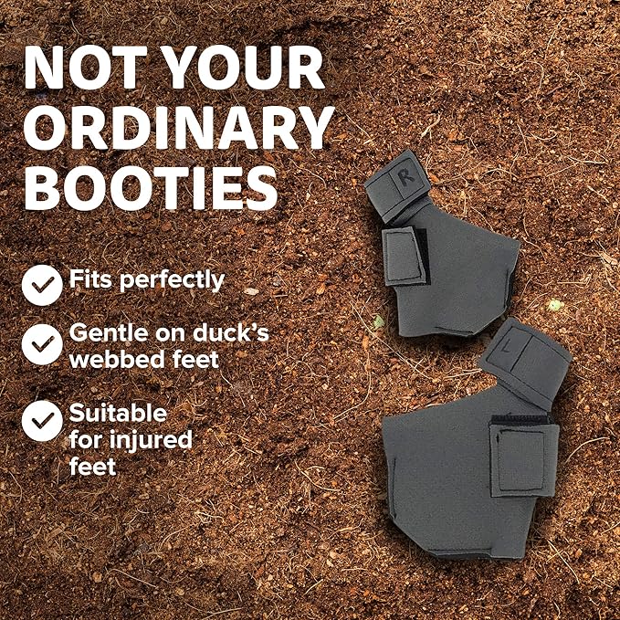 Duck Shoes for Injured Feet – Protective Neoprene Footwear for Ducks, Protective Shoes for Birds with Injured feet, Bumblefoot Relief - Medium, 3.5” Max. Inside Width - Gray
