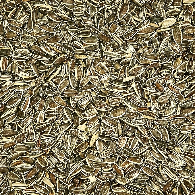 Kaytee Striped Sunflower Wild Bird Food 5 Pounds (Pack of 2)